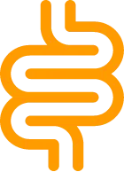 intestine-icon